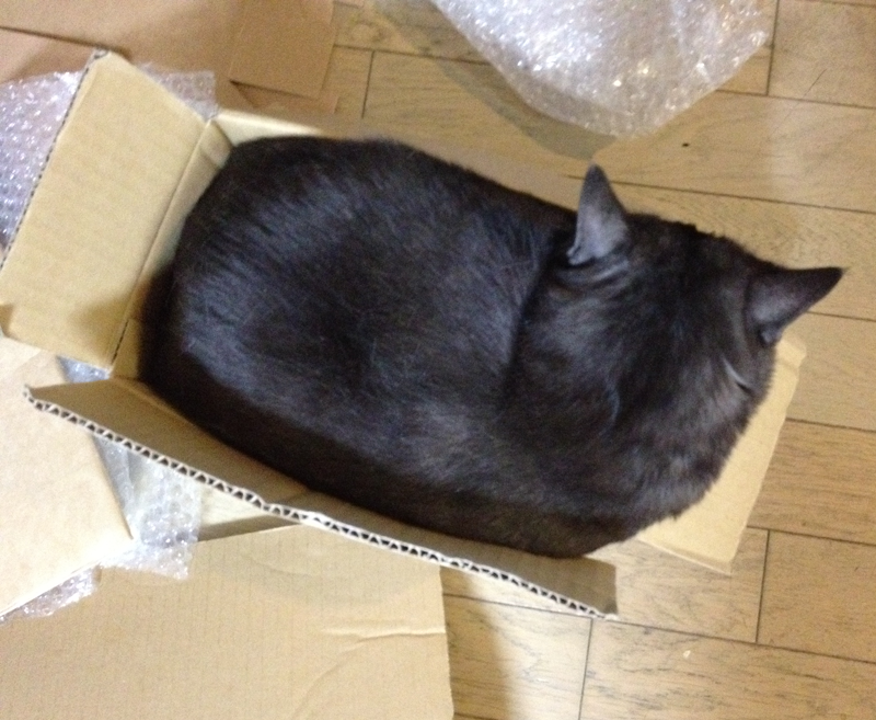 【本日のマウさん】その箱小さくないですか。