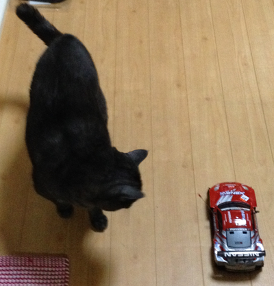 マウとラジコン