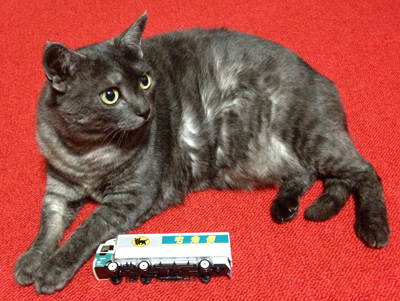 マウさんクロネコヤマト