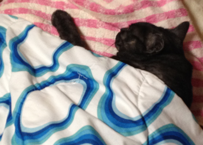 おふとんマウさん