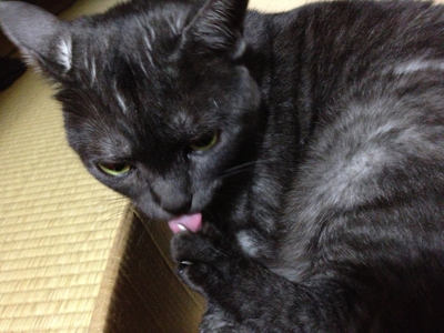 爪お手入れマウ