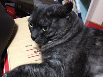 らくがきちょうマウ