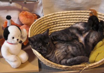 にゃんまげとマウ