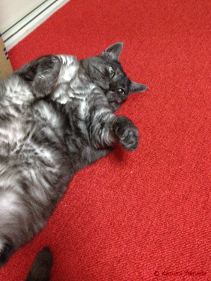 ファイティングマウ