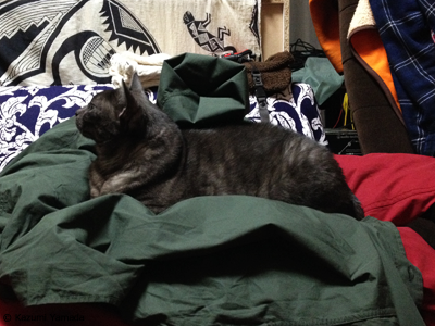 おでかけ阻止マウ