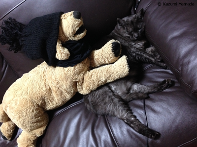 だいたいトモダチマウ