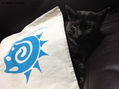 ライトウェーブマウ